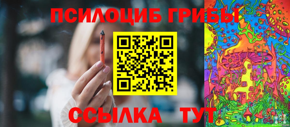 Псилоцибиновые грибы MAGIC MUSHROOMS  Вход с VPN  Мценск 